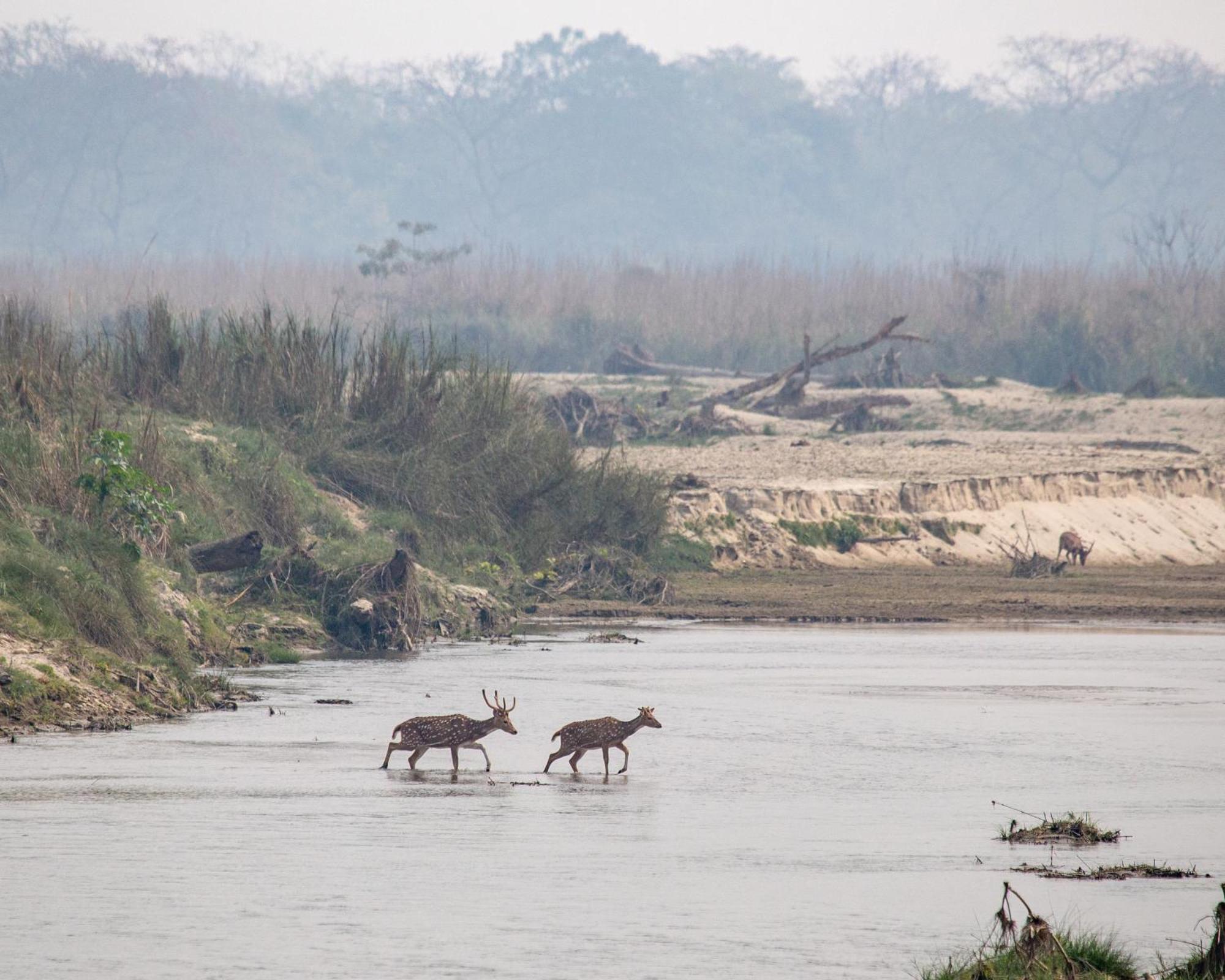 Sanctuary Chitwan National Park Hotel Kültér fotó