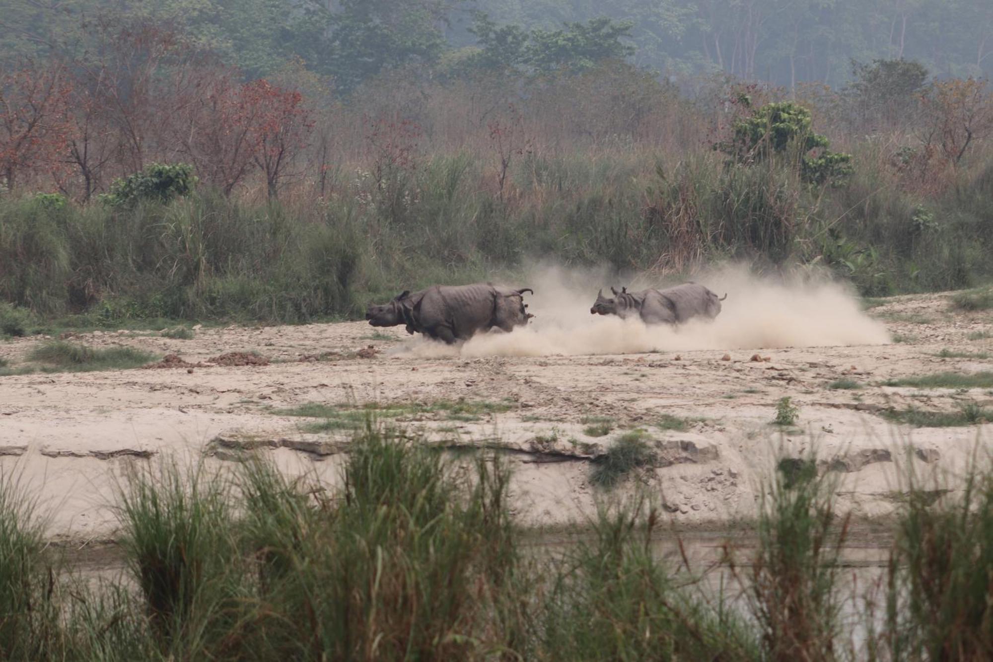 Sanctuary Chitwan National Park Hotel Kültér fotó